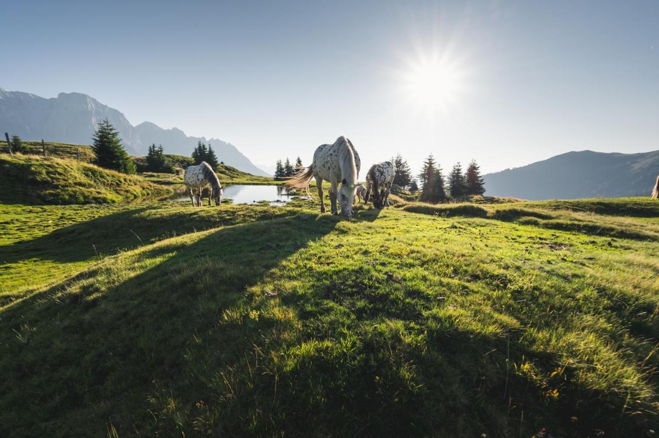 Alpenparks Hotel & Apartment Hochkoenig Muhlbach Am Hochkonig Ngoại thất bức ảnh